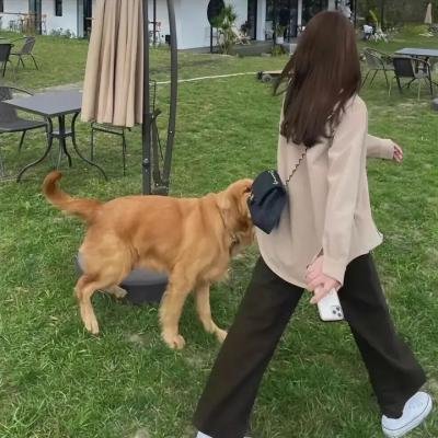 小迷糊的情泪 海报